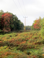 Oct 2013: 5C cable ride